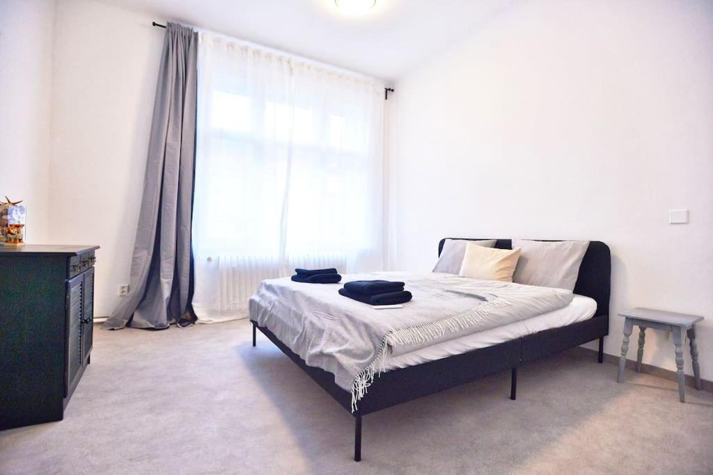 Airy & Bright Flat In Dejvice By Castle * Prag